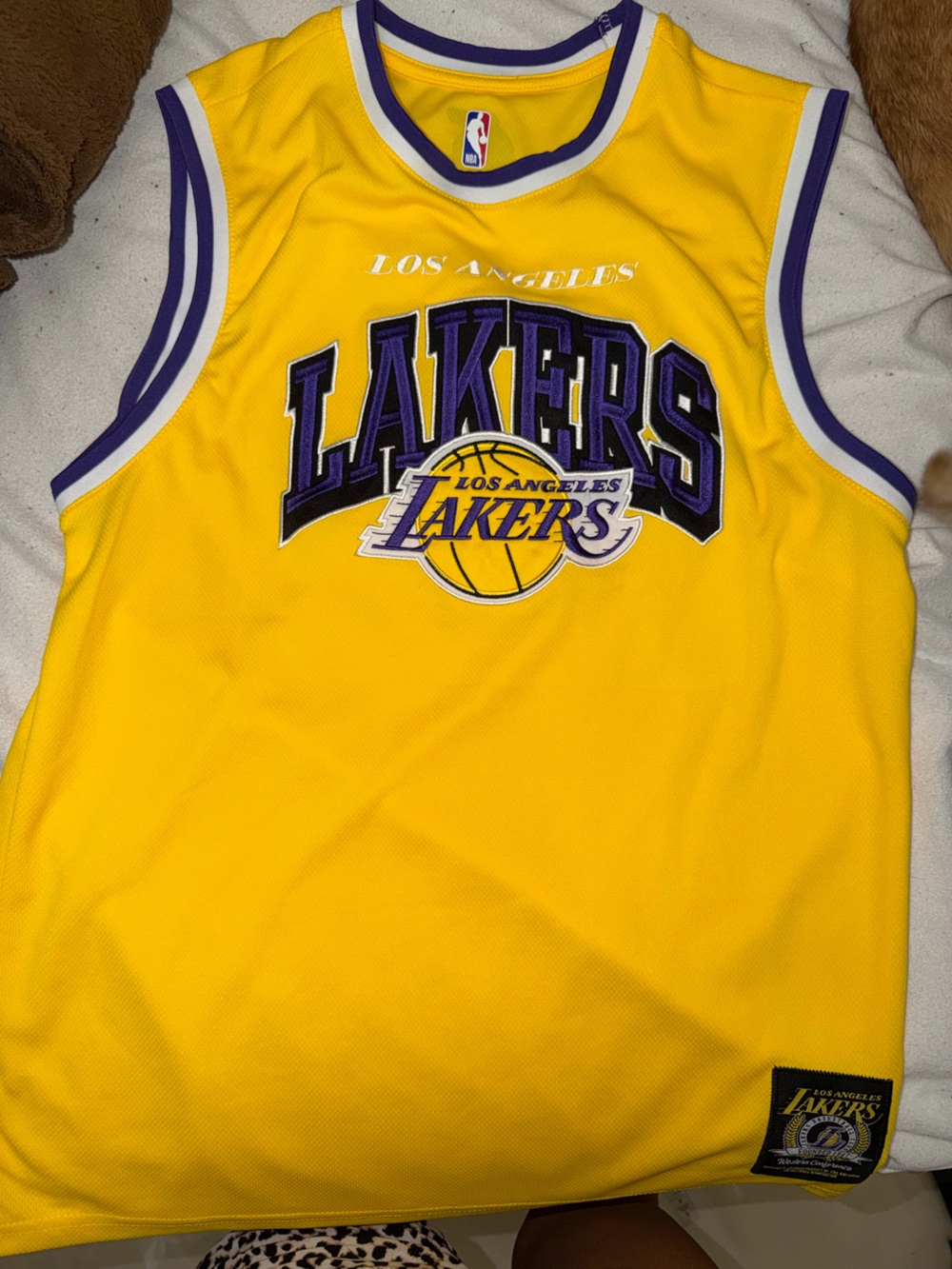 NBA lakers jersey